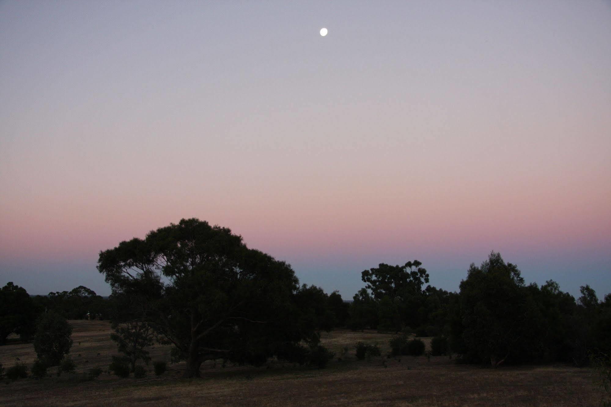 Boroka Downs Halls Gap Exterior foto