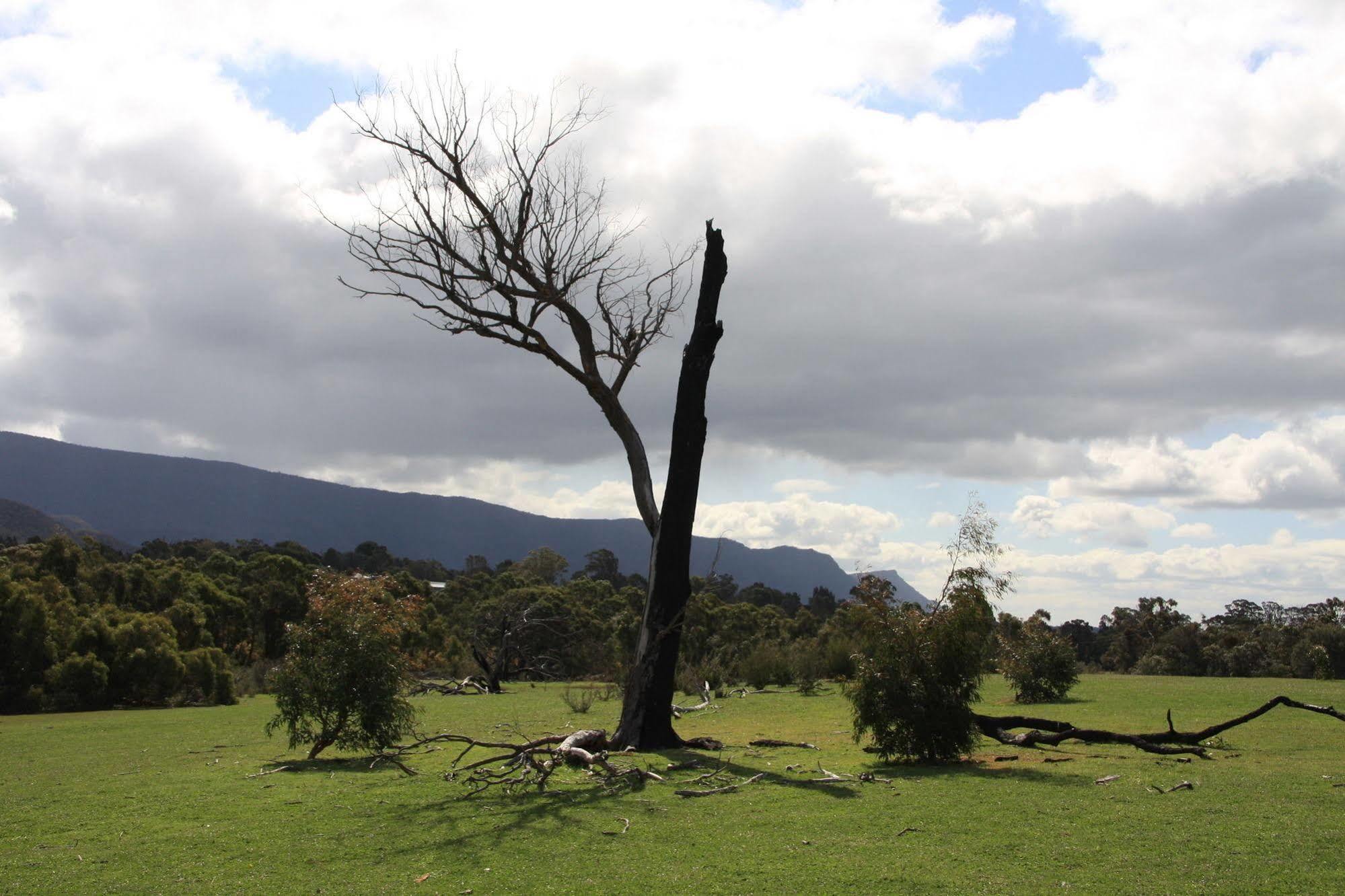 Boroka Downs Halls Gap Exterior foto